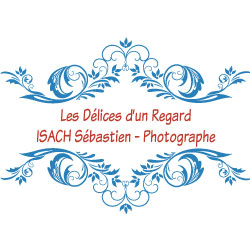 les-delices-dun-regard